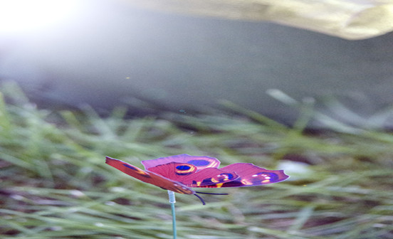 沈陽墓園的生態綠化是這樣的