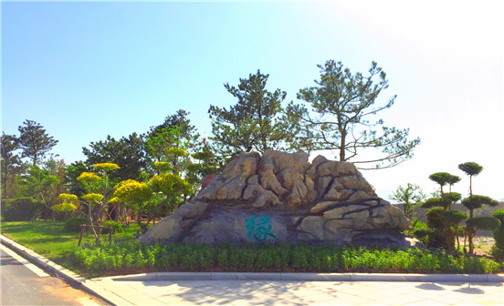 沙特阿拉伯的傳統(tǒng)葬禮