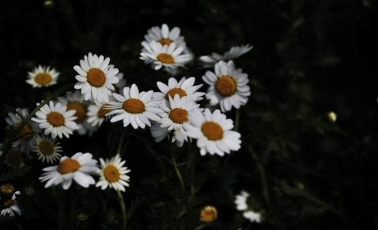 路引&mdash;&mdash;喪葬通關文牒