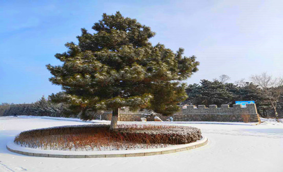 西北喪葬風俗里的那些&ldquo;喪&rdquo;和&ldquo;葬&rdquo;！（2）