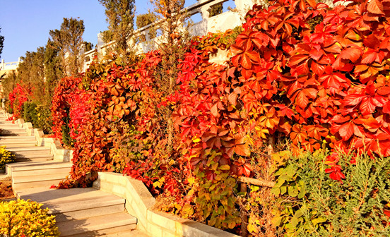 殯葬常識(shí)&mdash;&mdash;辦理喪事注意事項(xiàng)