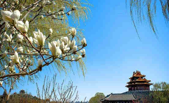 沈陽公墓下葬有何說道和步驟