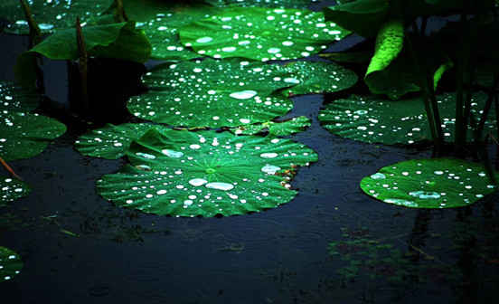 詳談墓地的吉和兇怎么看