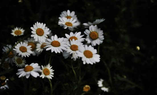 如何去除身上的晦氣以及如何改變命運