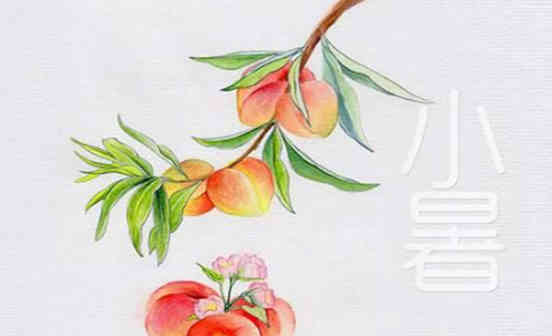 二十四節氣是何時出現的?