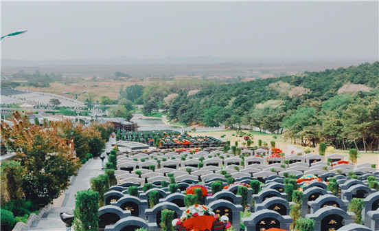 墓地堪輿七大方向宜忌