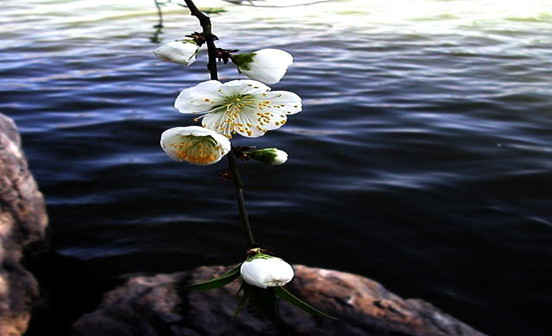 參加葬禮后的習(xí)俗