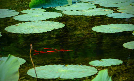 喪禮擇日應避免的幾種情況