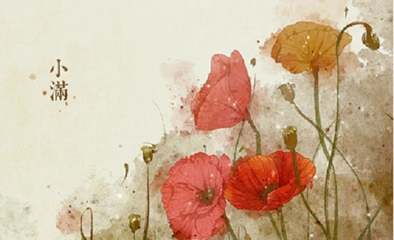 2020年小滿節(jié)氣