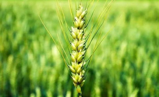 閏四月到底能不能下葬