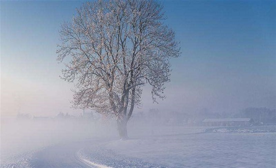 秦服的特點和意義是什么?