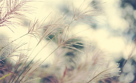 壽衣應該如何選擇