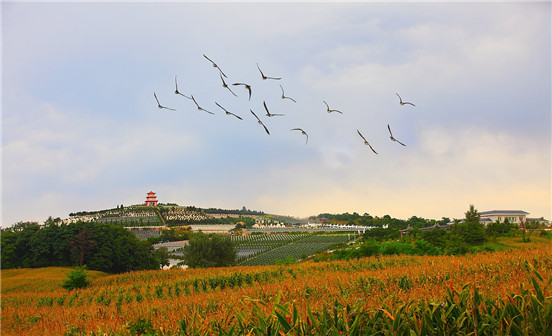 給先祖上墳的講究有哪些