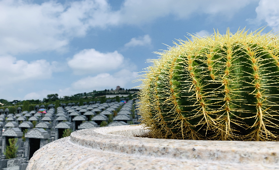 墳地與墓地之間的區(qū)別