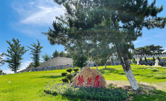 墓地究竟買多大合適？