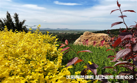 骨灰深埋是土葬的延續