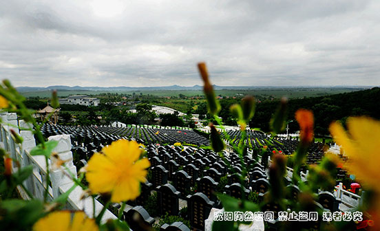 沈陽陶然寢園山水環境