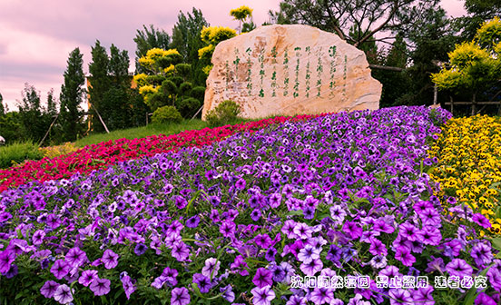 沈陽陶然寢園在哪？價格高嗎？