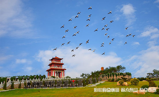 日本對國葬的規定