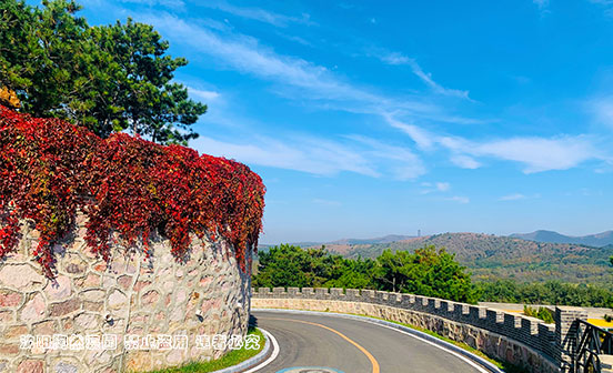 骨灰寄存服務為什么受歡迎？