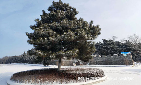 親人過世后為什么不能貼春聯(lián)？