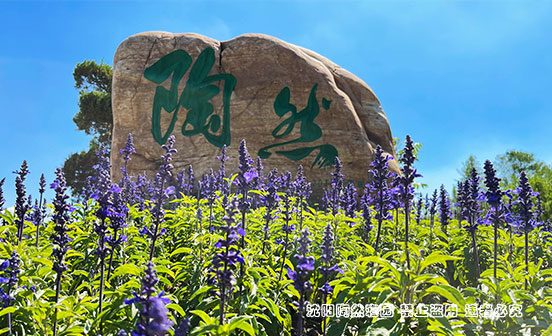 樹(shù)葬有哪些優(yōu)勢(shì)？沈陽(yáng)哪里有樹(shù)葬？