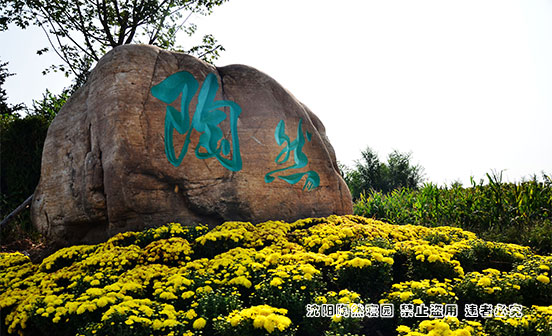 熱門的環(huán)保生態(tài)葬您能接受嗎？