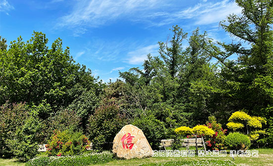 沈陽陶然寢園環境秀美，墓地多樣化