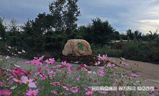 沈陽墓園陶然寢園購買指南