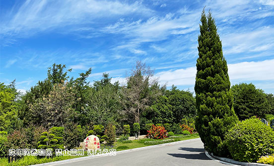 守靈：對逝者的深切緬懷與尊重