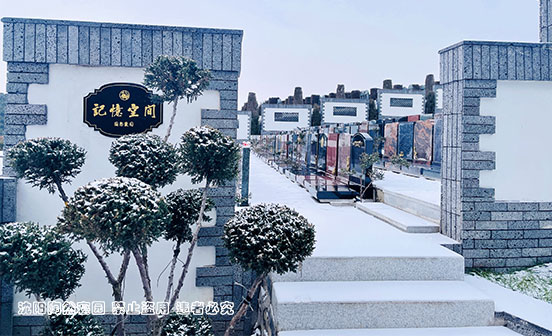 生于日期與卒于日期的選擇