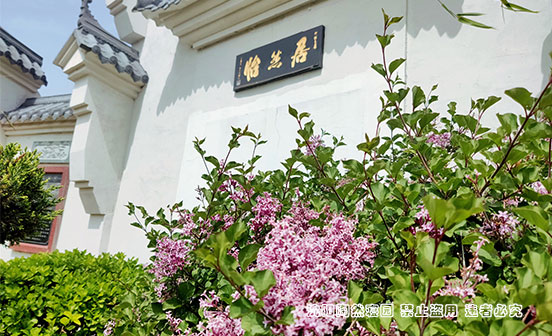 為何現(xiàn)代殯葬習俗簡化許多