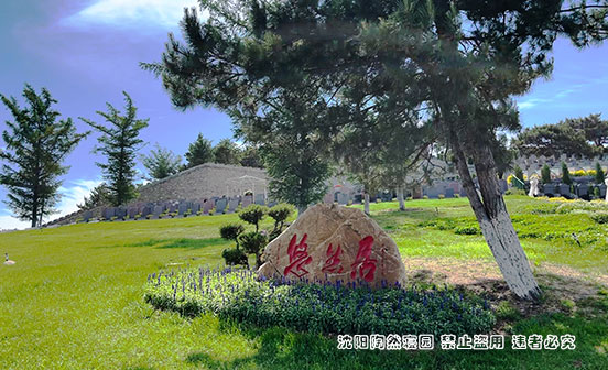 樹葬回歸自然的永恒禮贊